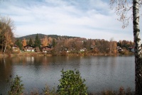 See im Feriendorf Hoher Bogen