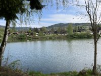 Blick3