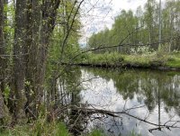 Blick5